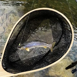 Super Light Fishing Net Cast Net Tackle for Trout Bass Pike Fishing Tools Fly Fishing Lure Micro Fishing Stream Perch Small Net