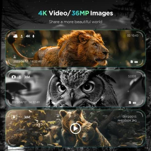 Sb14d09e92abd485488b63cf35036eba8u.webp
